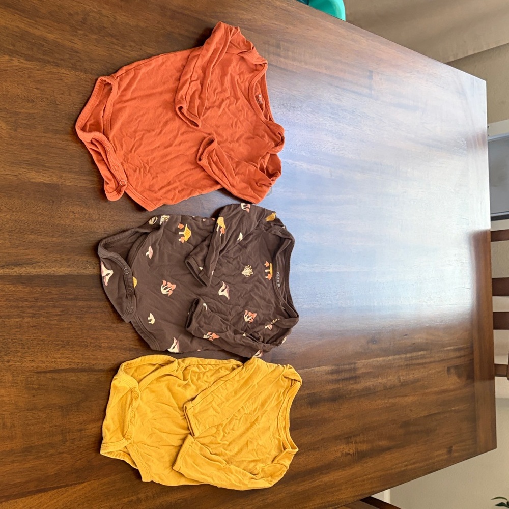 Kyte BABY Fall inspired 12-18mo long sleeve body suits